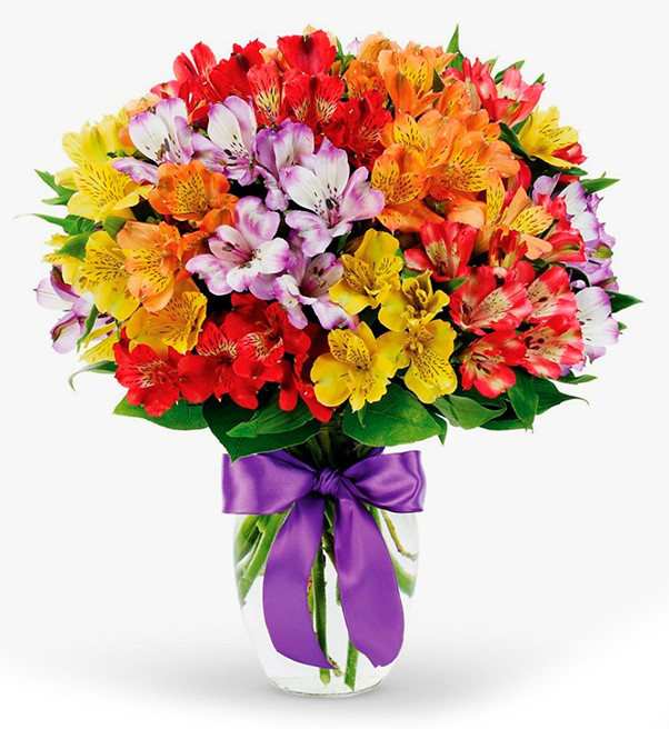 Цветы с доставкой на дом в петрозаводске семена съедобных цветов купить